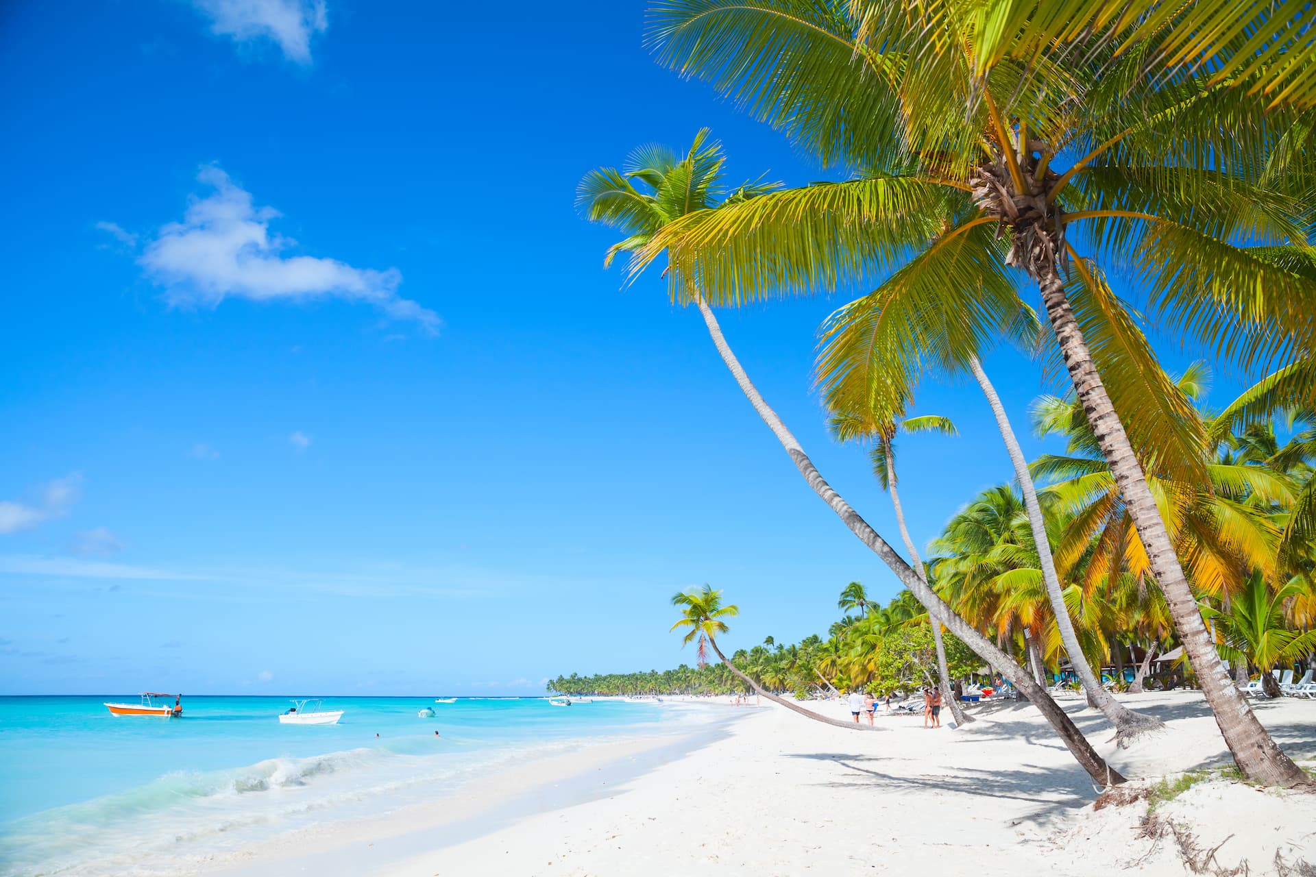 Frequently Asked Questions Before Traveling to Punta Cana and the Best Activities to Enjoy